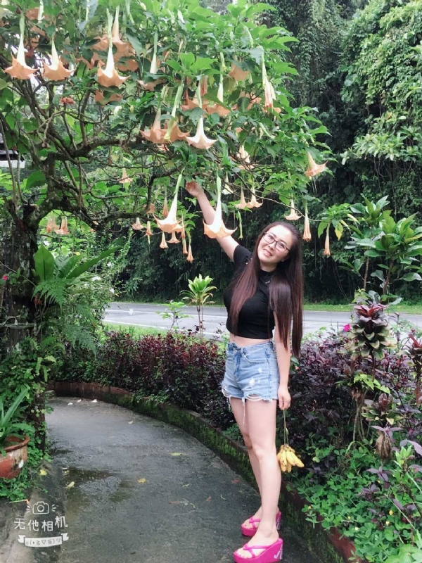 离异单身无子的第二张照片--父母相亲团