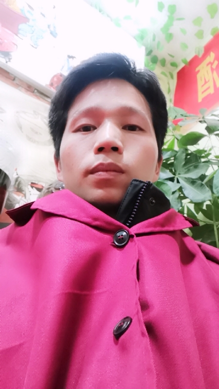 单身的林凡的第二张照片--父母相亲团