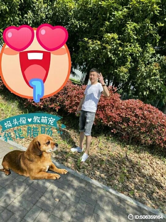 我若不坚强谁替我勇敢的第一张照片--父母相亲团