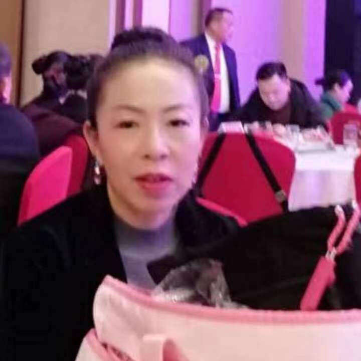 中秋桂花玉兔的第四张照片--父母相亲团