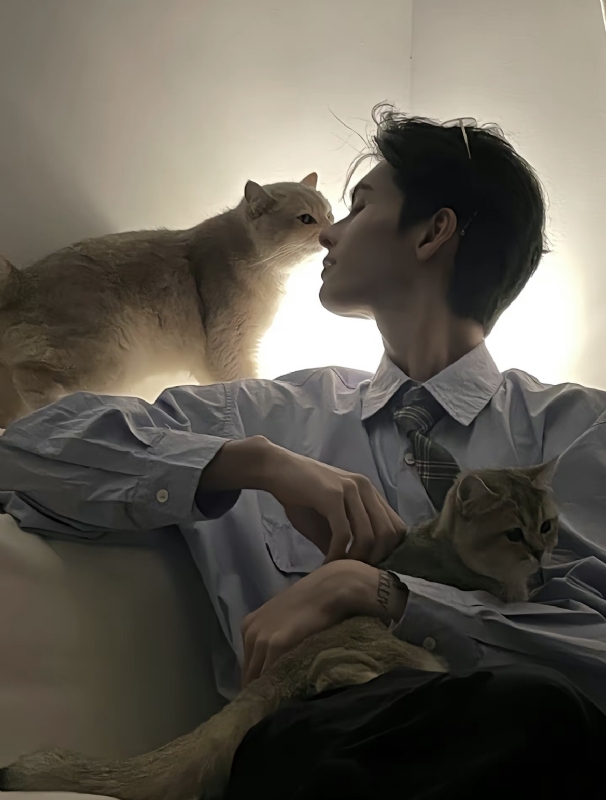 怪猫的第一张照片--父母相亲团