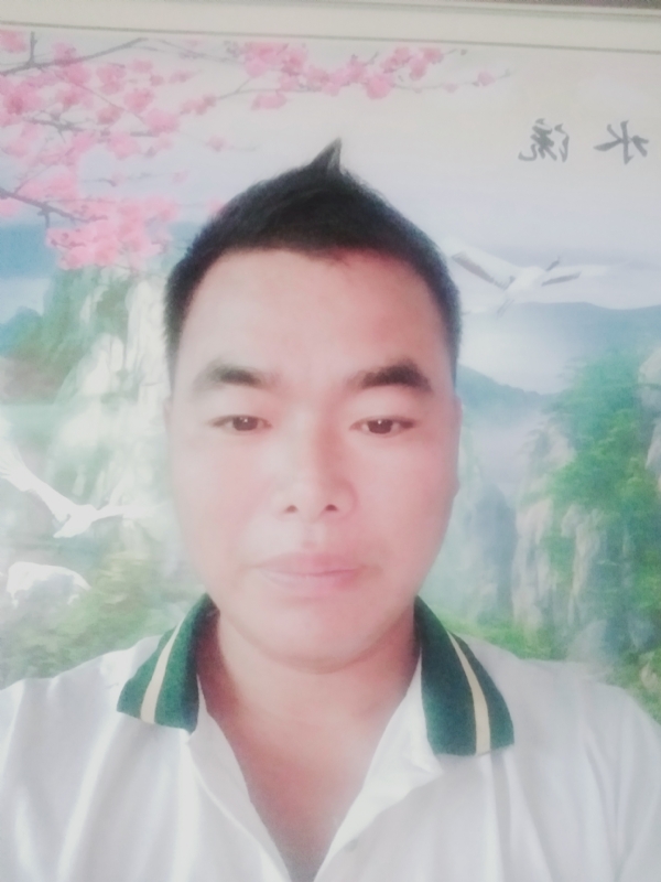 阳光男孩的第二张照片--父母相亲团